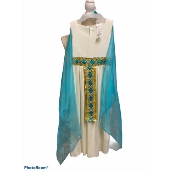 Walmart Other - Child’s Egyptian Queen Costume